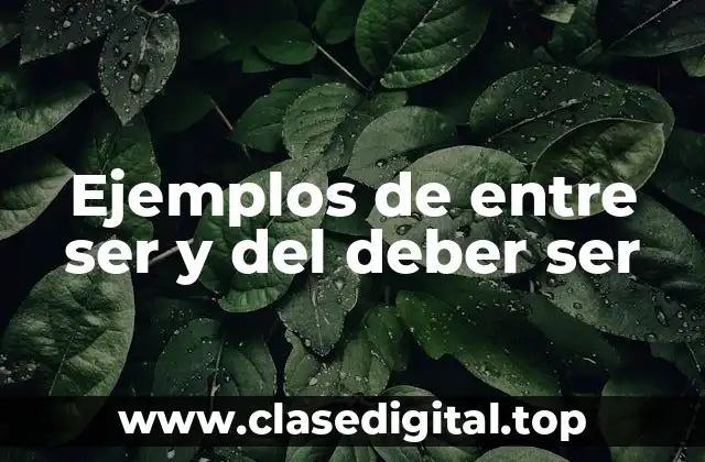 Ejemplos de entre ser y del deber ser