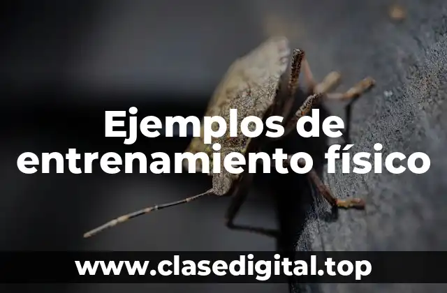 Ejemplos de entrenamiento físico