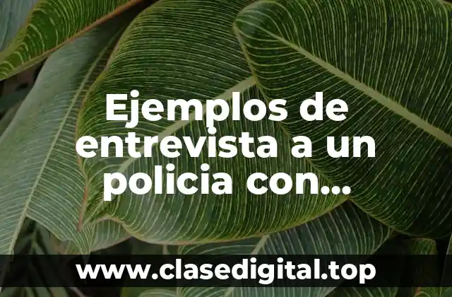 Ejemplos de entrevistas a policías