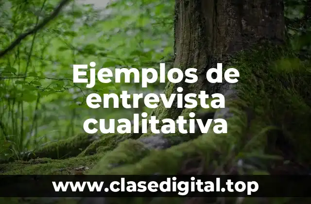 Ejemplos de entrevista cualitativa