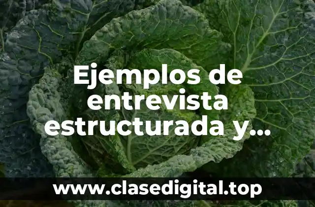 Ejemplos de entrevista estructurada y semiestructurada