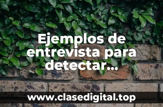 Ejemplos de entrevistas para detectar necesidades de capacitación