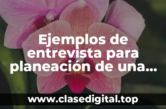 Ejemplos de entrevista para planeación de una organización