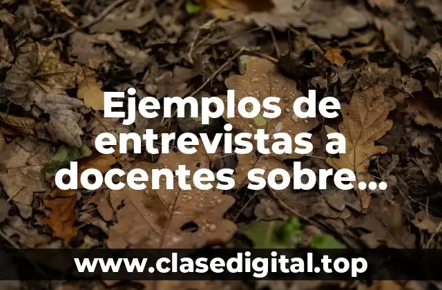 Ejemplos de entrevistas a docentes sobre gestión educativa