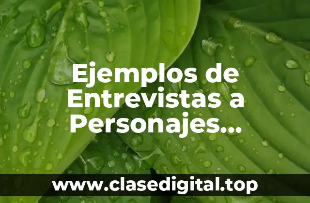 Ejemplos de Entrevistas a Personajes Importantes