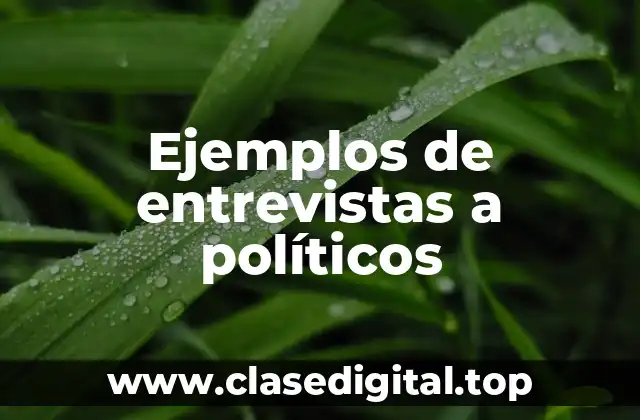 Ejemplos de entrevistas a políticos