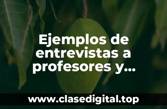 Ejemplos de entrevistas a profesores y Significado