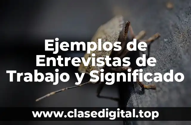 Ejemplos de Entrevistas de Trabajo