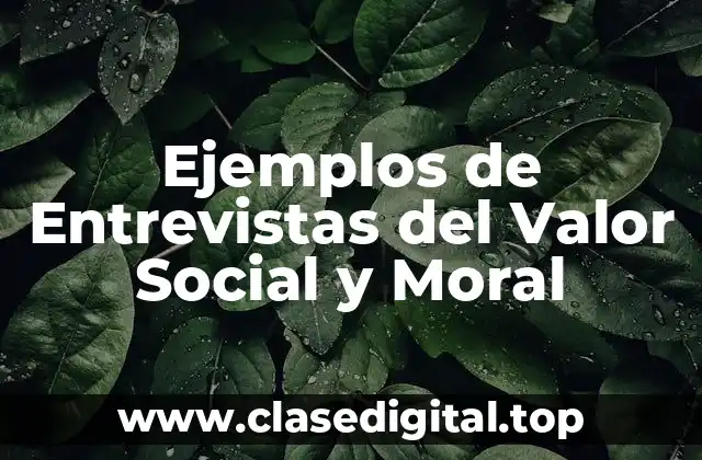 Ejemplos de Entrevistas del Valor Social y Moral