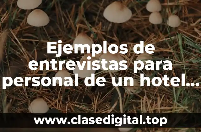 Ejemplos de entrevistas para personal de un hotel y Significado