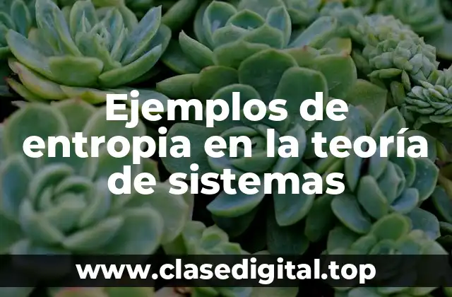 Ejemplos de entropia en la teoría de sistemas