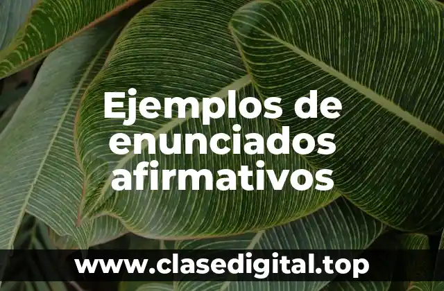 Ejemplos de enunciados afirmativos