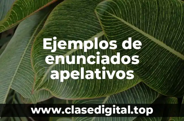 Ejemplos de enunciados apelativos
