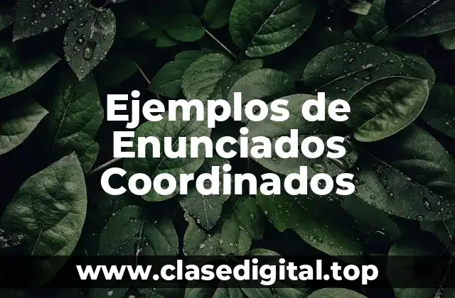 Ejemplos de Enunciados Coordinados