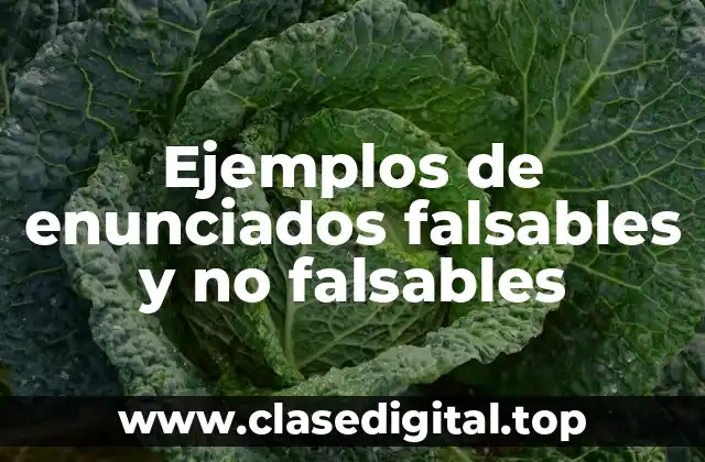 Ejemplos de enunciados falsables y no falsables