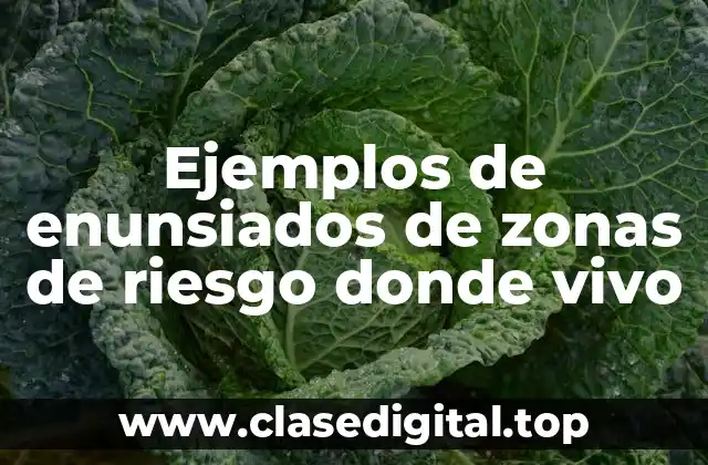Ejemplos de enunsiados de zonas de riesgo donde vivo