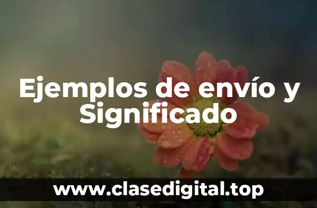 Ejemplos de envío y Significado