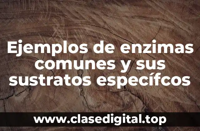 Ejemplos de enzimas comunes y sus sustratos específcos