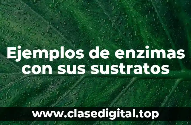 Ejemplos de enzimas con sus sustratos