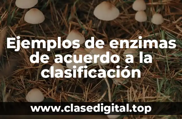 Ejemplos de enzimas de acuerdo a la clasificación