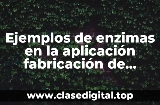 Ejemplos de enzimas en la aplicación fabricación de antibióticos y Significado
