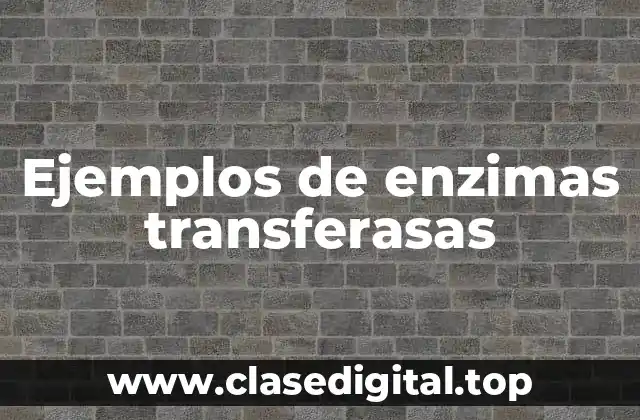 Ejemplos de enzimas transferasas