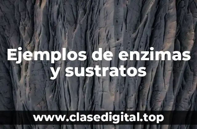 Ejemplos de enzimas y sustratos