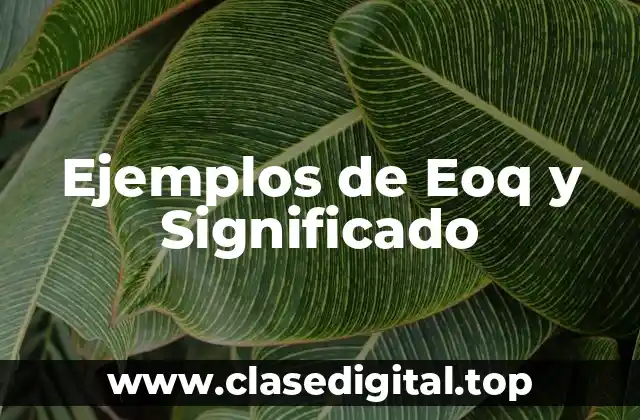 Ejemplos de Eoq y Significado