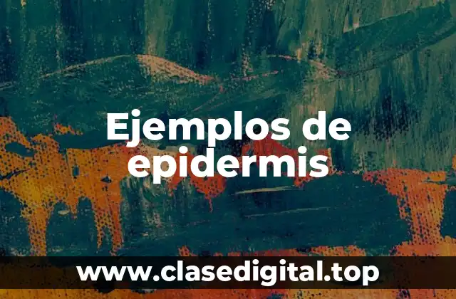 Ejemplos de epidermis