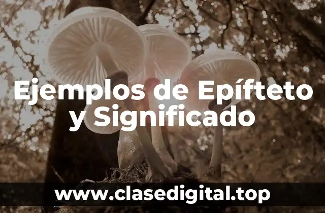 Ejemplos de Epífteto y Significado