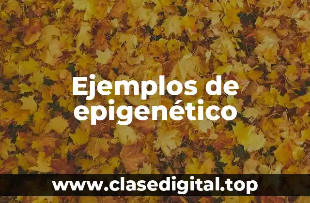 Ejemplos de epigenético