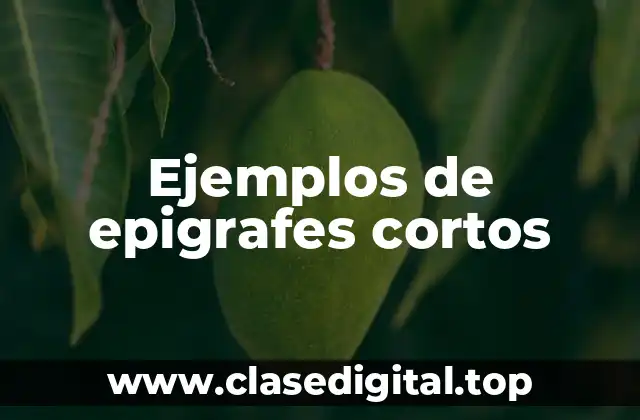 Ejemplos de epigrafes cortos
