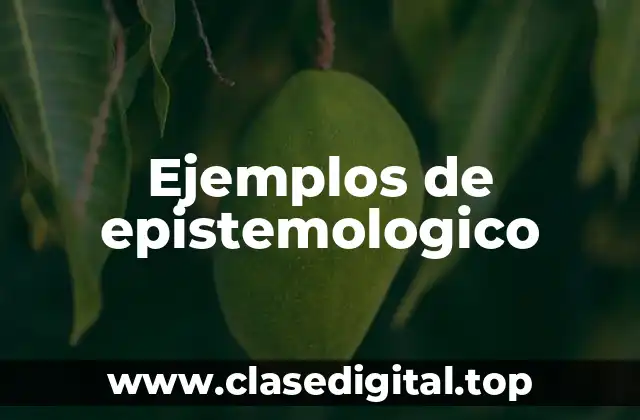 Ejemplos de epistemológico