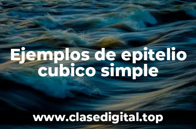 Ejemplos de epitelio cubico simple