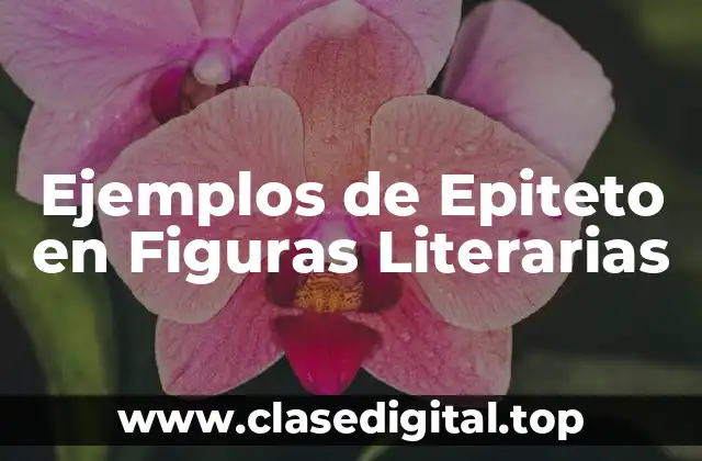Ejemplos de Epiteto en Figuras Literarias