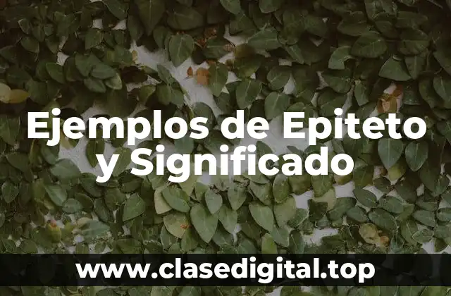 Ejemplos de Epiteto