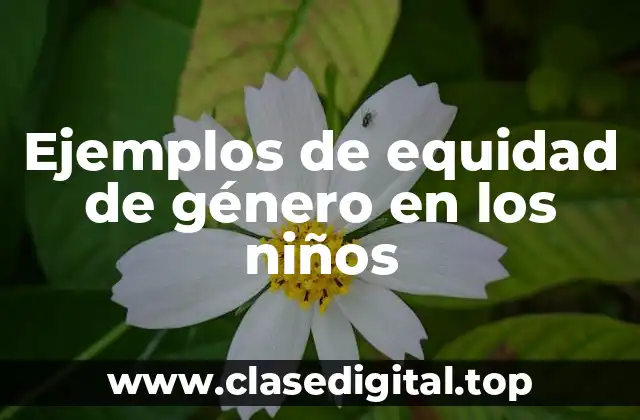 Ejemplos de equidad de género en los niños