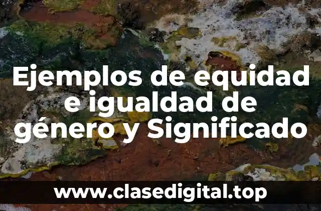 Ejemplos de equidad e igualdad de género y Significado