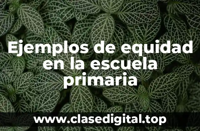 Ejemplos de equidad en la escuela primaria