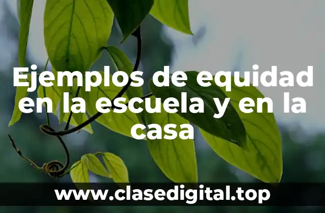 Ejemplos de equidad en la escuela y en la casa