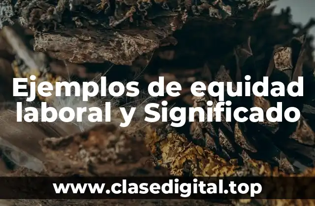 Ejemplos de equidad laboral y Significado