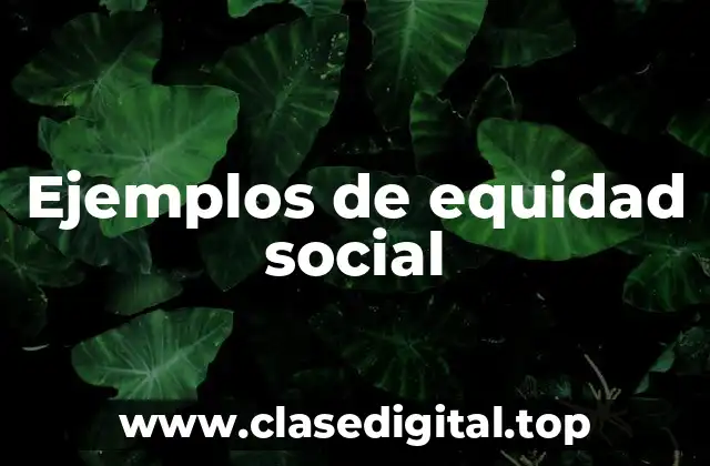 Ejemplos de equidad social
