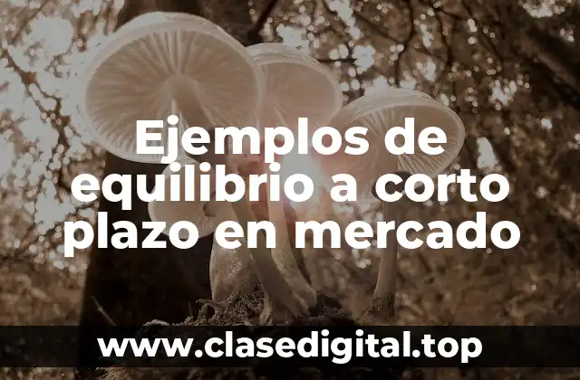 Ejemplos de equilibrio a corto plazo en mercado