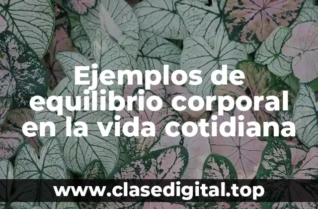 Ejemplos de equilibrio corporal en la vida cotidiana