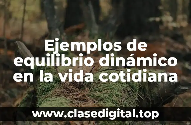 Ejemplos de equilibrio dinámico en la vida cotidiana
