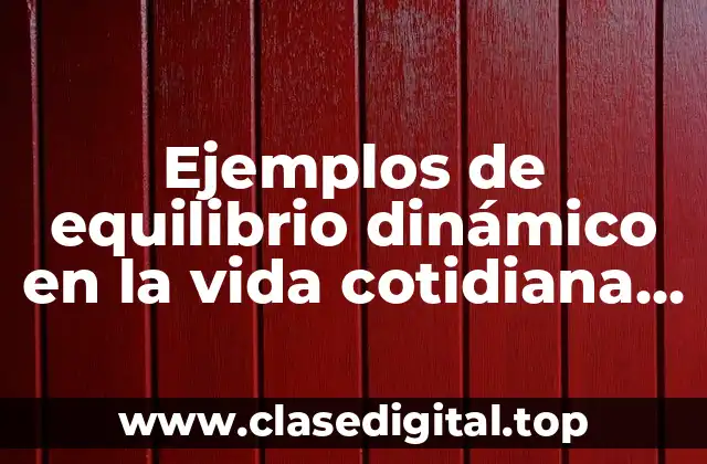 Ejemplos de equilibrio dinámico en la vida cotidiana química y Significado