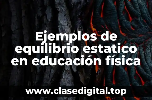 Ejemplos de equilibrio estatico en educación física