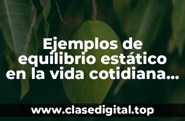 Ejemplos de equilibrio estático en la vida cotidiana y Significado