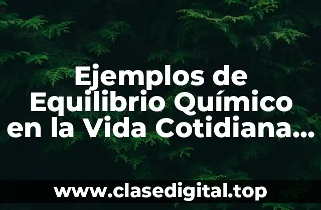 Ejemplos de Equilibrio Químico en la Vida Cotidiana y Significado