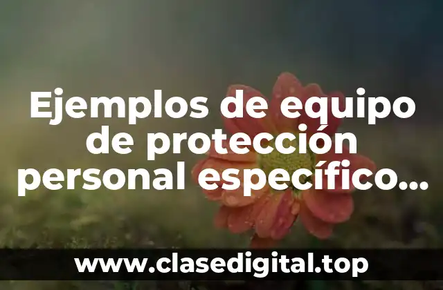 Ejemplos de equipo de protección personal específico para ruido